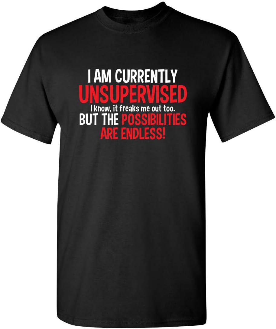 I'm Currently Unsupervised Novelty Graphic Sarcastic Funny T Shirt