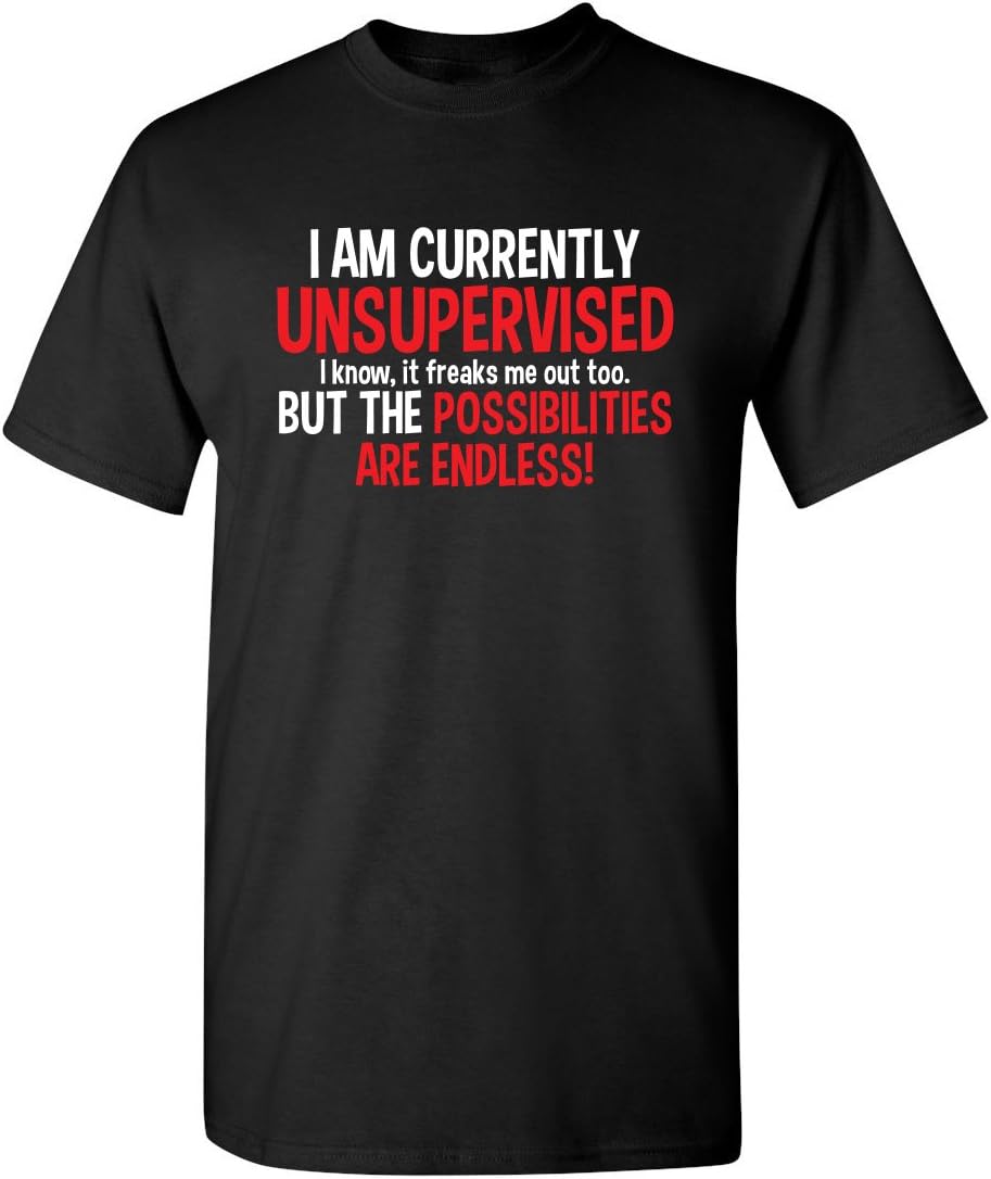 I'm Currently Unsupervised Novelty Graphic Sarcastic Funny T Shirt
