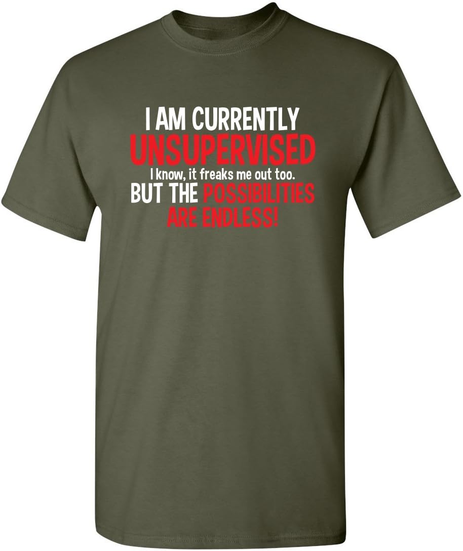 I'm Currently Unsupervised Novelty Graphic Sarcastic Funny T Shirt