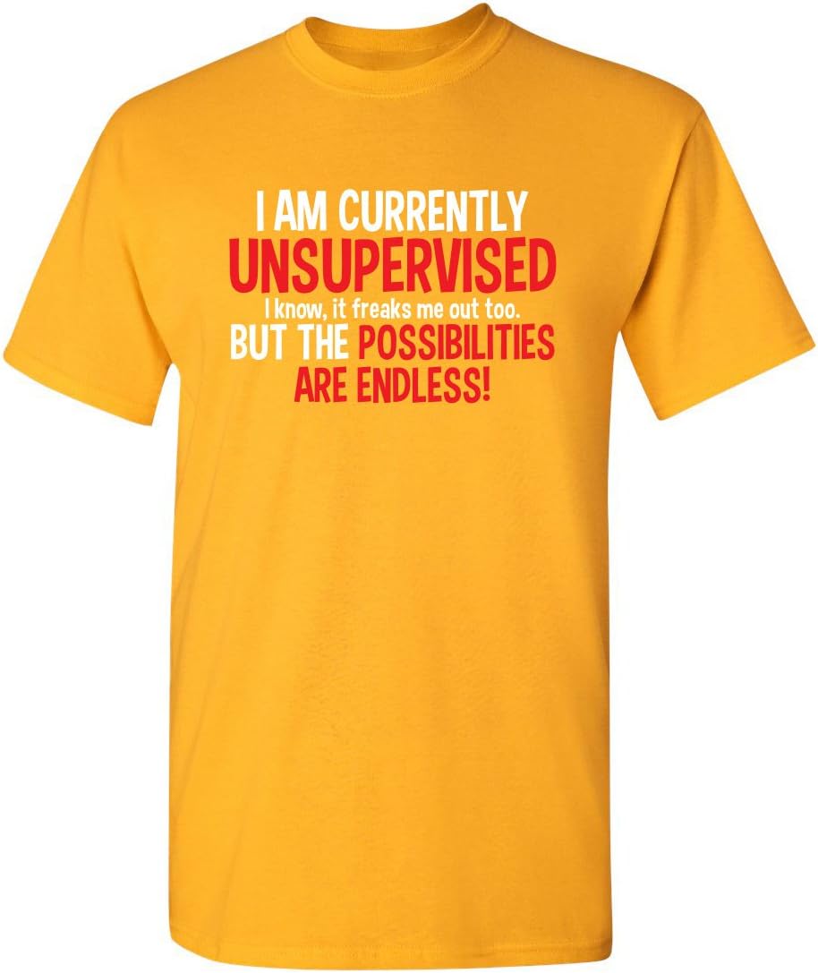 I'm Currently Unsupervised Novelty Graphic Sarcastic Funny T Shirt